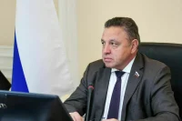 Сенатор Тимченко призвал к разработке большего числа отраслевых индикаторов риска