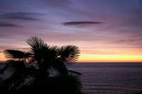 В Сочи с 1 января 2025 года введут туристический налог в размере 1%