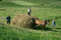 В России станет больше трезвых сел