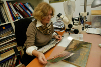 Переехавшим на Дальний Восток работникам культуры выплатят 2 млн рублей