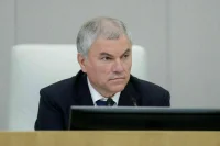 Володин указал на отсутствие утвержденного порядка к закону о популярных блогах