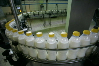 Генпрокуратура начала проверку после повышения цен на молоко