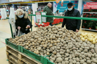 Патрушев поручил проработать вопрос об импорте картофеля из дружественных стран