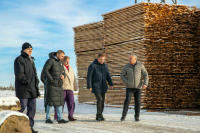 В Красноярском крае заготовка и переработка дикоросов требует системного подхода