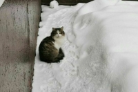 Синоптик рассказал, когда в Москве появится снежный покров