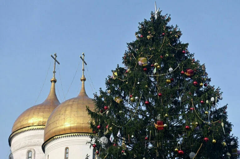 Главную новогоднюю елку России нашли в подмосковной Знаменке