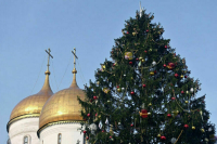 Главную новогоднюю елку России нашли в подмосковной Знаменке