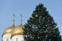 Главную новогоднюю елку России нашли в подмосковной Знаменке