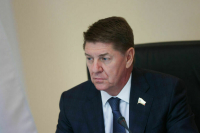 В Совфеде назвали преимущества одноуровневой системы местного самоуправления