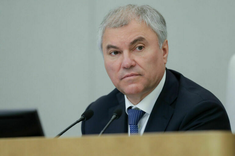 Володин рассказал, когда внесут проект о запрете принимать в школы некоторых мигрантов