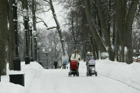 Москвичам пообещали приход метеорологической зимы в выходные