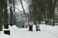Москвичам пообещали приход метеорологической зимы в выходные