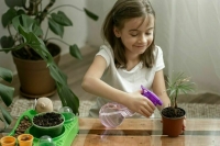 Углубленное изучение предметов: для чего в сельских школах создадут агроклассы