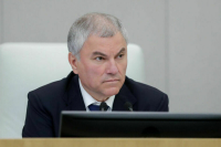 Володин рассказал, как новые законы защитят детей от угрозы токсикомании