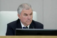 Володин рассказал, как новые законы защитят детей от угрозы токсикомании