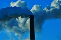 Минприроды предложило пересчитать ставки платы за вред природе