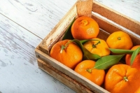 В Россельхознадзоре опровергли сообщения о запрете на ввоз мандаринов из Абхазии