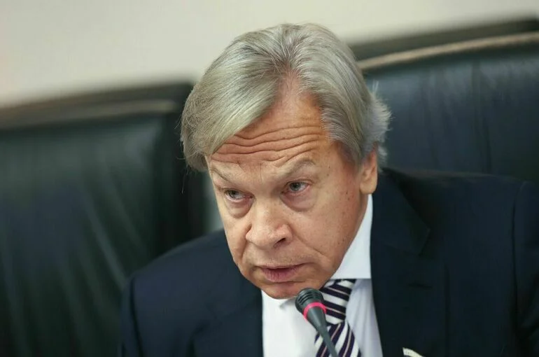 Сенатор Пушков назвал отмену результатов выборов в Румынии госпереворотом
