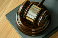 Прекращено уголовное дело о жестоком обращении с котом Твиксом