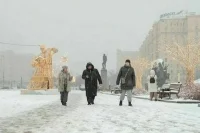 Москвичам спрогнозировали снегопад в ночь с субботы на воскресенье