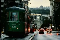 В Белграде общественный транспорт станет бесплатным
