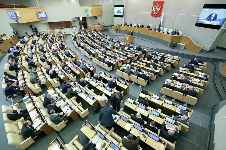 Госдума может рассмотреть законопроект о продлении маткапитала 14 января