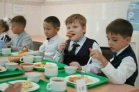 Тестирование детей мигрантов на знание русского языка будет бесплатным