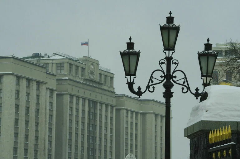 Госдума инициировала запросы в кабмин по статусу участников СВО
