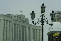 Госдума инициировала запросы в кабмин по статусу участников СВО