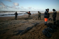 «Единая Россия» организует мониторинг Черного моря после ликвидации последствий ЧС