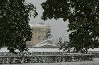 Синоптик рассказал о погодных рекордах Петербурга в 2024 году