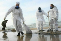 В Краснодарском крае очистили от нефтепродуктов более 39 км берега