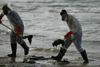 Роспотребнадзор не выявил загрязнений морской воды на пляже в Анапе