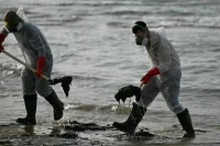 Роспотребнадзор не выявил загрязнений морской воды на пляже в Анапе