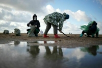 Режим ЧС федерального уровня планируют объявить из-за разлива мазута на Кубани