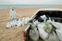 С побережья Крыма вывезли более 44 тонн загрязненного мазутом песка