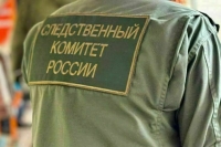 Против наемника из США возбудили дело за вторжение в Курскую область