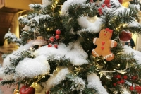 Врачи рассказали о случаях аллергии на новогоднюю елку