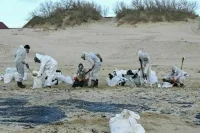 В Севастополе намерены ликвидировать последствия разлива мазута к лету