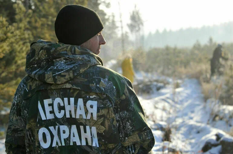 Библиотекари и лесничие: профессий для альтернативной службы станет больше