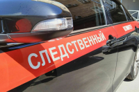 СК возбудил дело в отношении напавшего на школу в Курске подростка