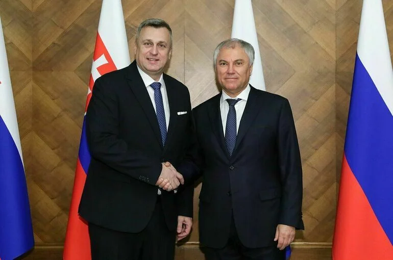 Володин обсудил с делегацией Нацсовета Словакии межпарламентское сотрудничество