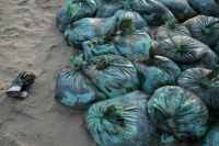 В Черном море собрали основную часть мазута из танкера «Волгонефть-239»