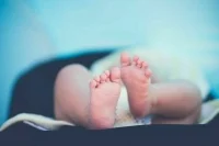 В Чечне 180 семей получат выплату за имена детей в честь героев республики