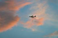 РФ и Вьетнам намерены расширить количество прямых авиарейсов