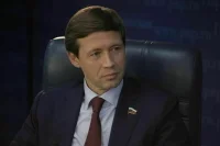 Сенатор Шейкин: При банковской идентификации по видео главное — безопасность
