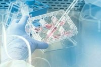 Найти пропавшего и доказать родство: чем поможет геномная регистрация