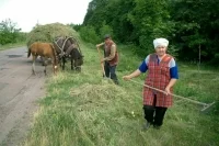 В споре за сельсоветы появилась определенность