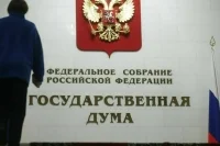 Законопроект о наказании за пропаганду нацистской символики Госдума рассмотрит 21 января