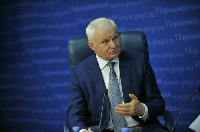 Депутат Плотников: Выполнение программы развития села находится под угрозой